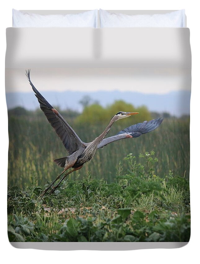 Great Duvet Cover featuring the photograph Lifting Off by Christy Pooschke