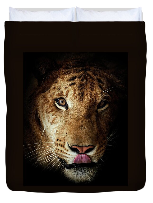 Black Color Duvet Cover featuring the photograph Liger by Tunart