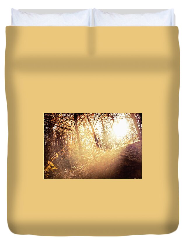 Scenics Duvet Cover featuring the photograph Light In The Forest by Moreiso