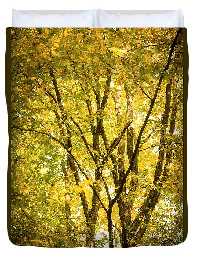 Autumn Duvet Cover featuring the photograph Light in the leaves by Philippe Sainte-Laudy