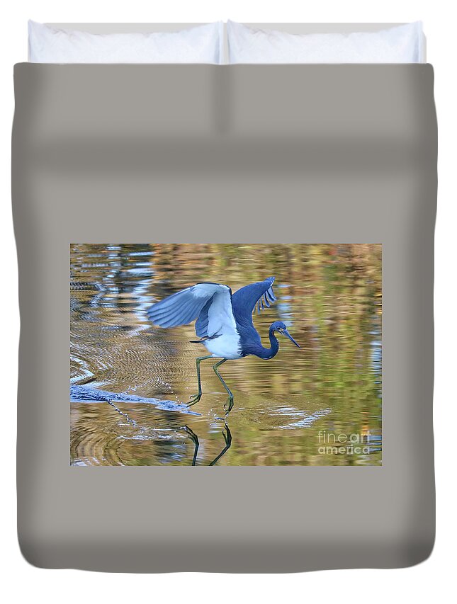 Tricolored Heron Duvet Cover featuring the photograph Lightly Touching Down by Carol Groenen
