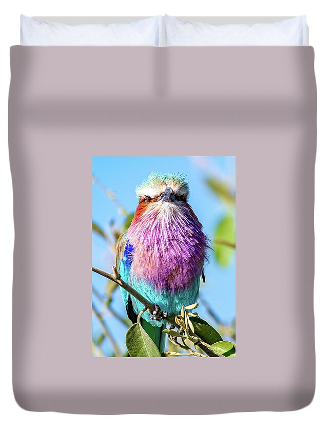  Duvet Cover featuring the photograph Lilac Breasted Roller of Africa by Marcy Wielfaert