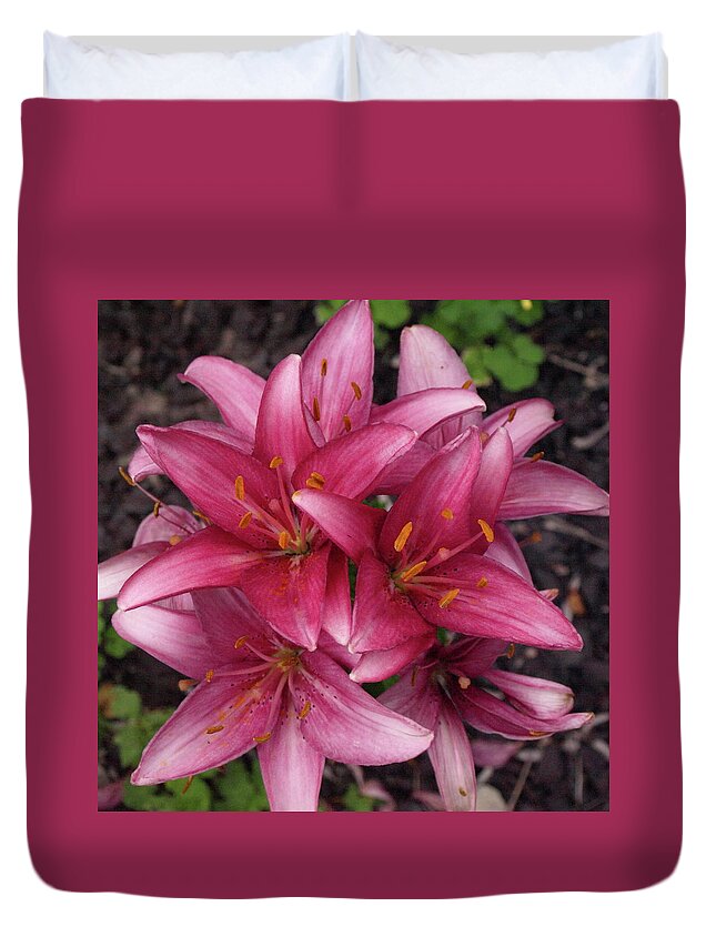 Lily Duvet Cover featuring the photograph Lilixplosion 6 by Jeffrey Peterson
