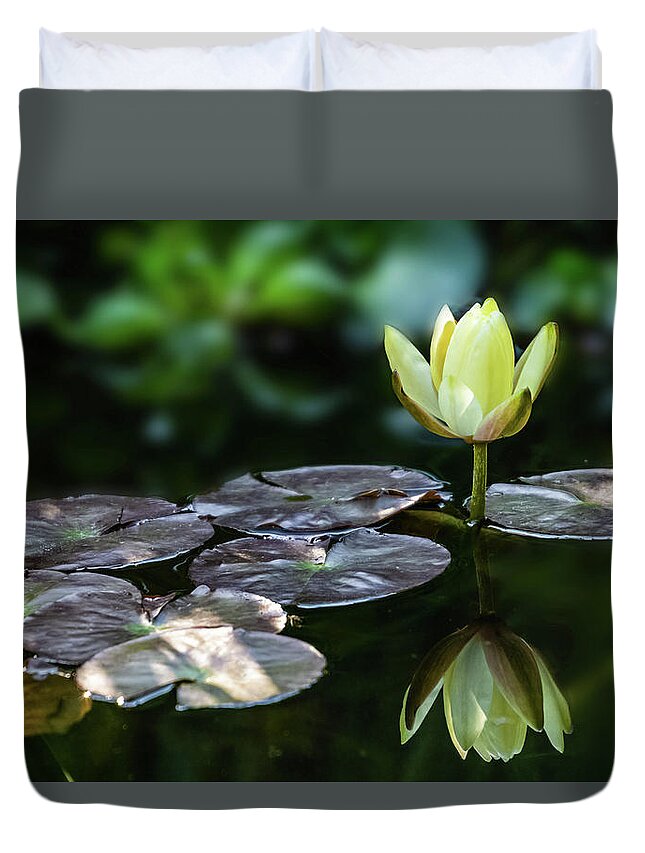 Outdoors Duvet Cover featuring the photograph Lily In The Pond by Silvia Marcoschamer