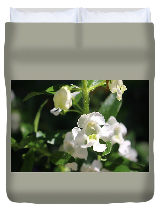 Lily Of The Valley Duvet Cover featuring the photograph Lily of the Valley, Cape May by Christopher Lotito