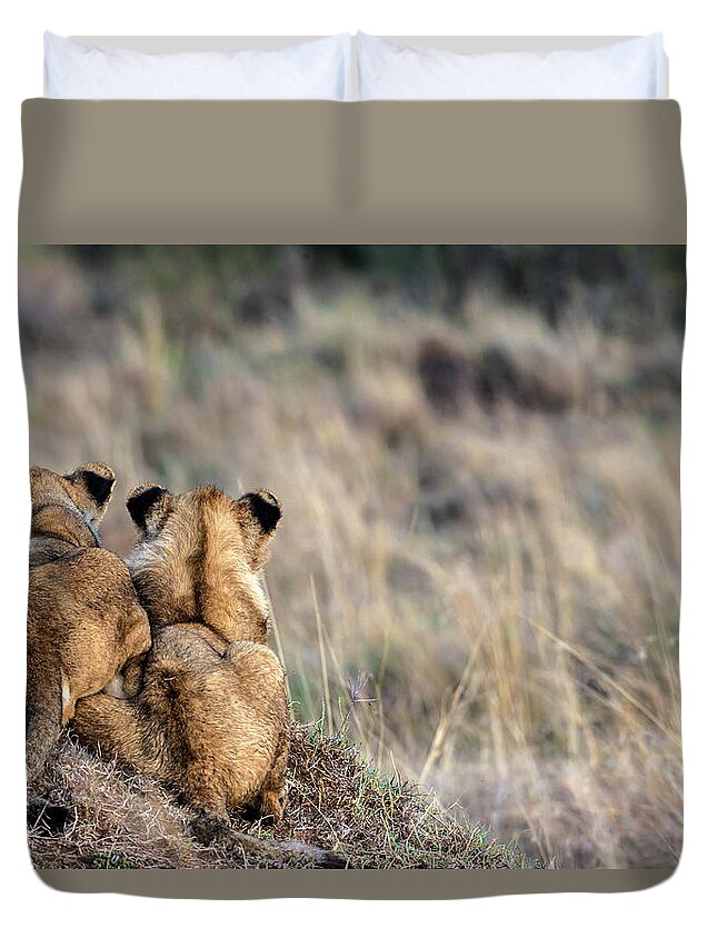 Kenya Duvet Cover featuring the photograph Lion Cubs Watching by Manoj Shah