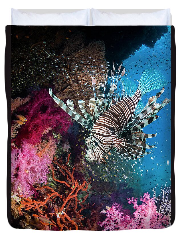 Underwater Duvet Cover featuring the photograph Lionfish Over Coral Reef by Georgette Douwma