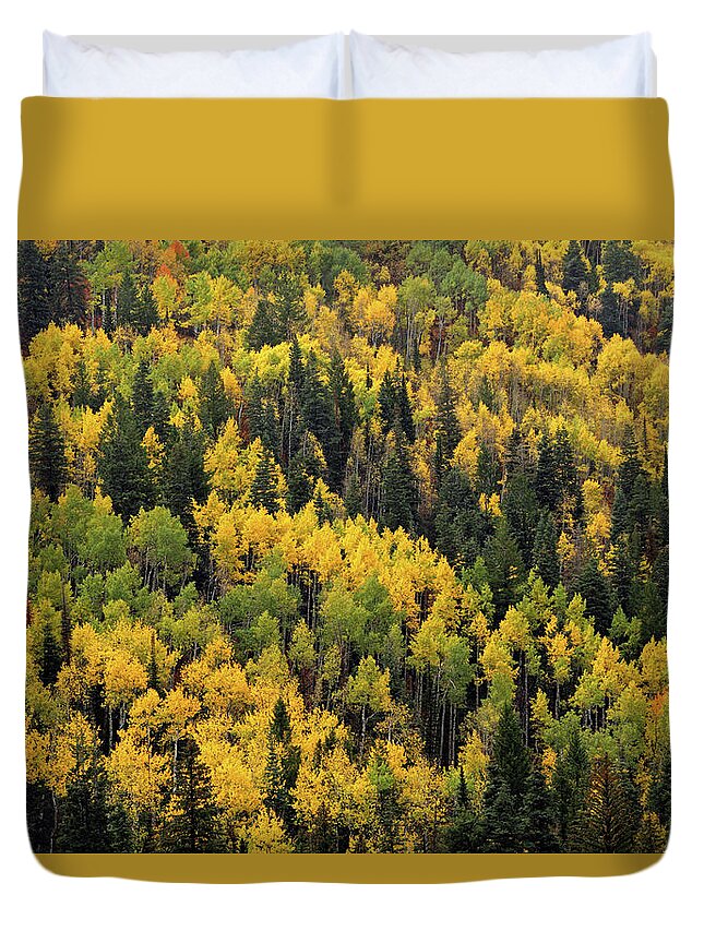 Duvet Cover featuring the photograph Little Cottonwood Fall Color - Alta, Utah by Brett Pelletier