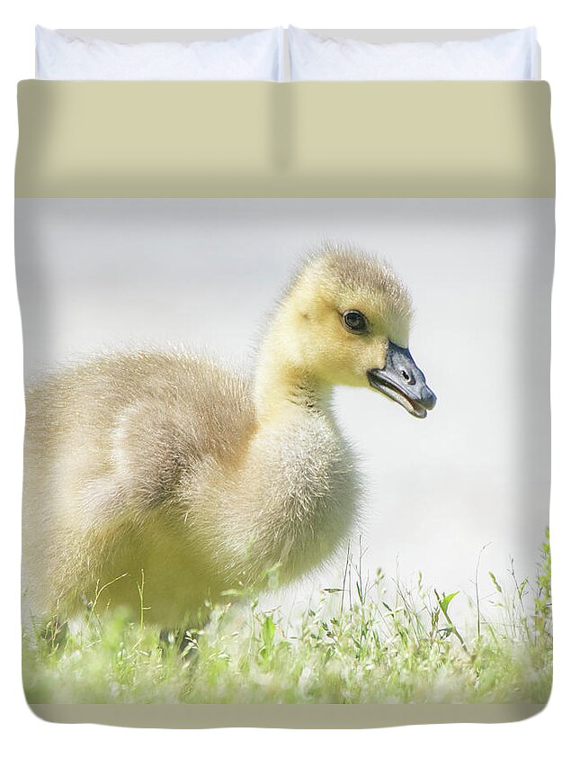 Goslings Duvet Cover featuring the photograph Little Gosling by Mary Ann Artz