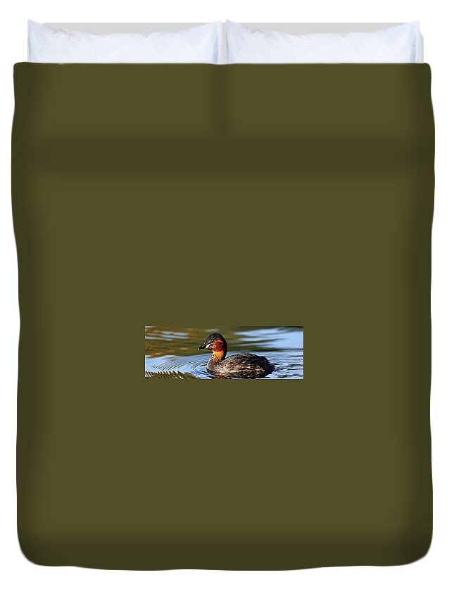 Bird Duvet Cover featuring the photograph Little Grebe in pond by Grant Glendinning