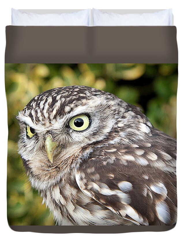 Alertness Duvet Cover featuring the photograph Little Owl Athene Noctua by Roel Meijer