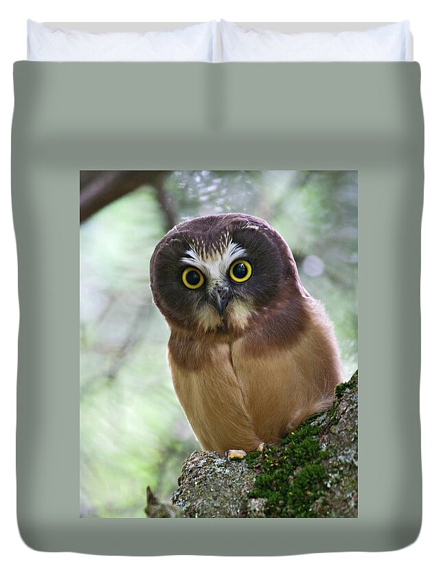 Birds Duvet Cover featuring the photograph Little Owl by Wesley Aston