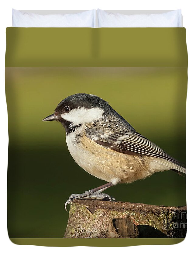 Log Duvet Cover featuring the photograph Little wild coal tit on a log cose up by Simon Bratt