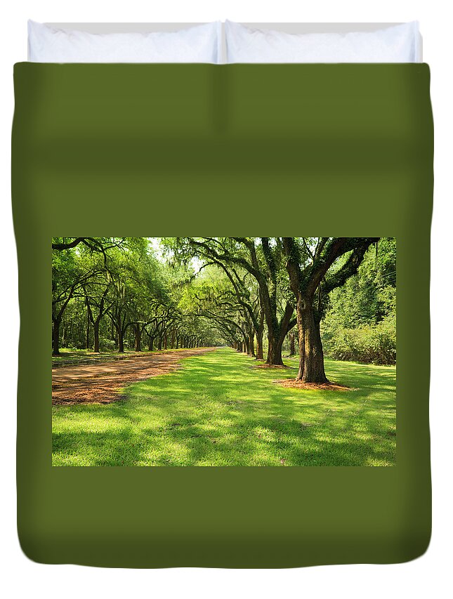 Scenics Duvet Cover featuring the photograph Live Oak Trees by Marje