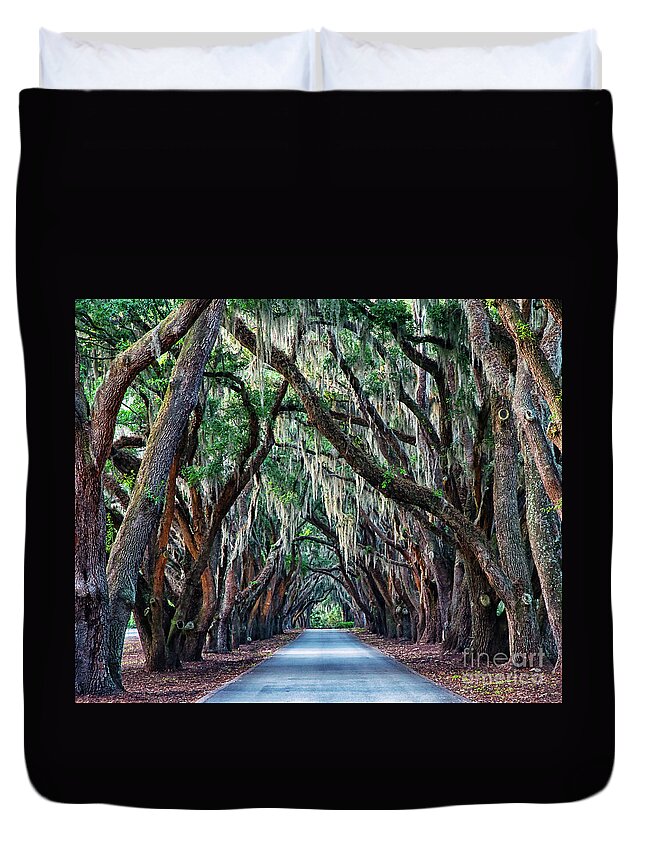 South Carolina Duvet Cover featuring the photograph Live Oaks Spanish Moss Hilton Head Island South Carolina by Wayne Moran