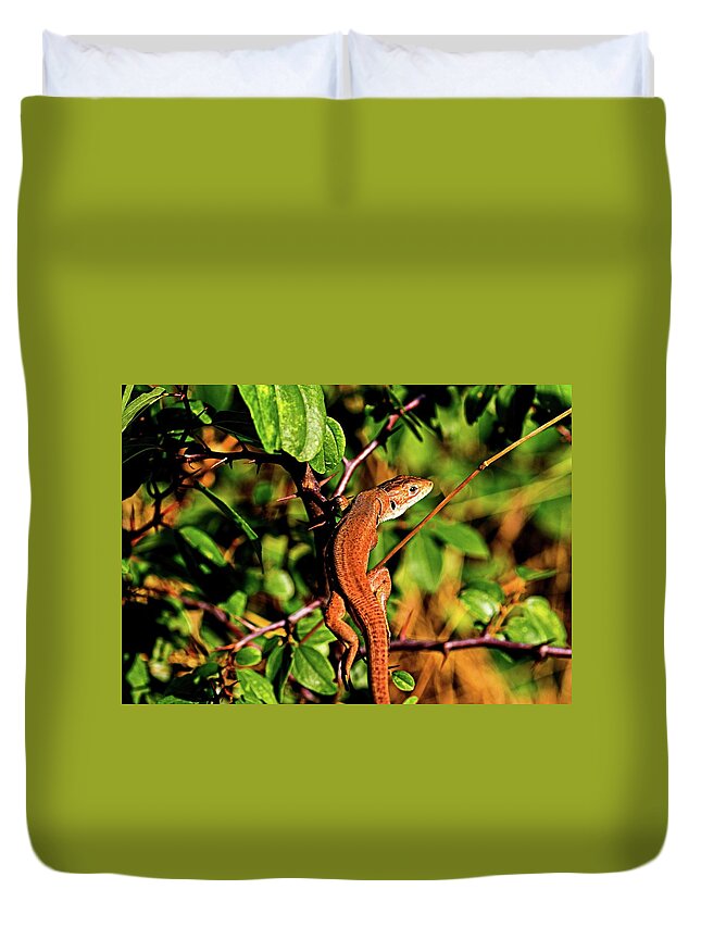 Lizard Duvet Cover featuring the photograph Lizard in the forest by Martin Smith