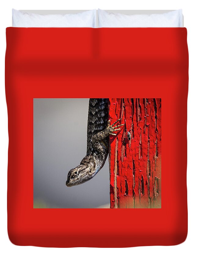 Lizard Duvet Cover featuring the photograph Lizard on Red by Rick Mosher