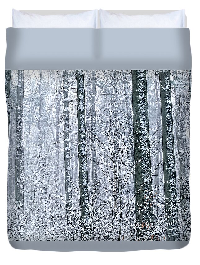 Loch Raven Duvet Cover featuring the photograph Loch Raven, Maryland, Usa by Tony Sweet