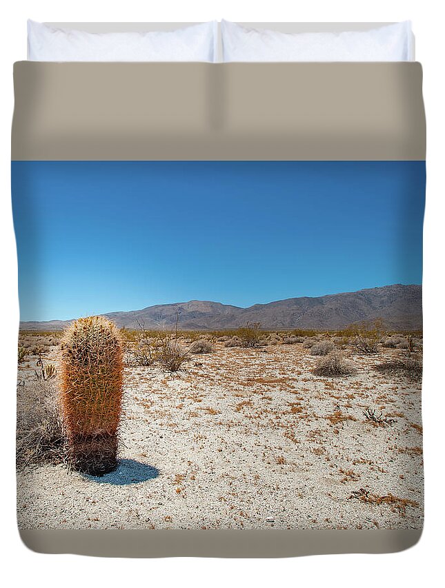 Anza-borrego Desert State Park Duvet Cover featuring the photograph Lone Barrel Cactus by Mark Duehmig