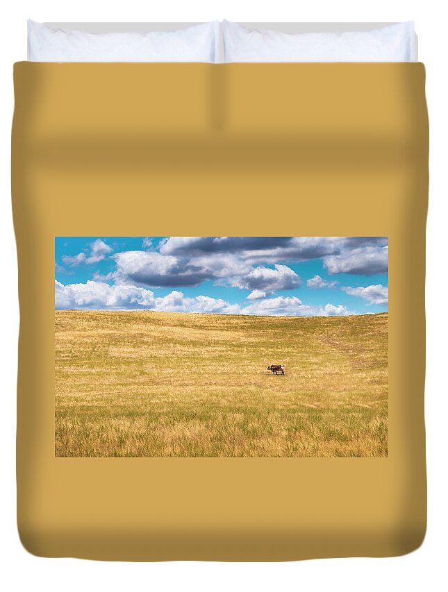 Cow Duvet Cover featuring the photograph Lone Cow by Emmgunn