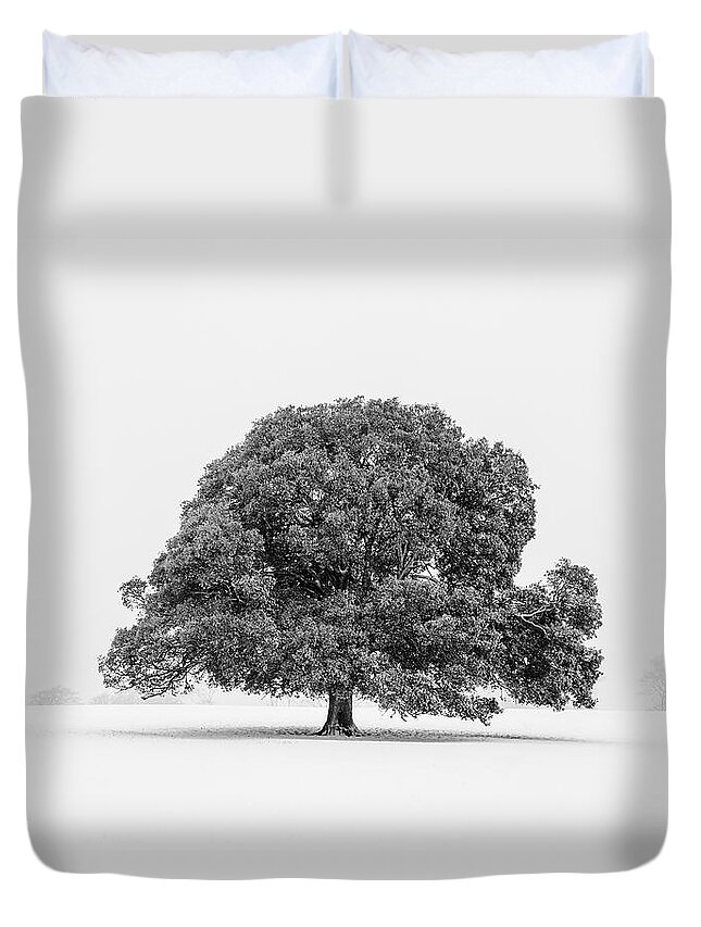 Scenics Duvet Cover featuring the photograph Lone Holm Oak Tree In Snow, Somerset, Uk by Nick Cable