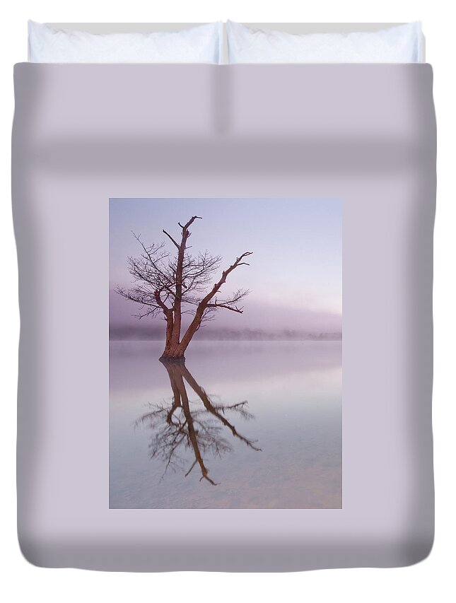 Landscape Duvet Cover featuring the photograph Lone tree in still lake in the mist at sunrise by Anita Nicholson