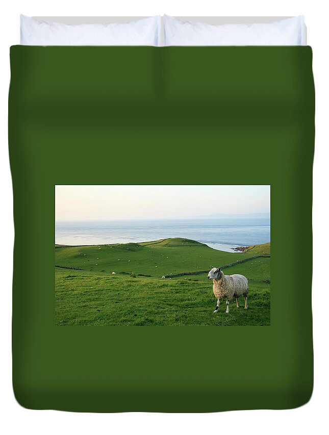 Grass Duvet Cover featuring the photograph Lonesome Sheep by Aloha 17