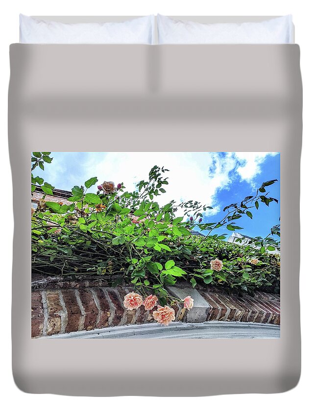 Peach Flowers Duvet Cover featuring the photograph Look Up by Portia Olaughlin