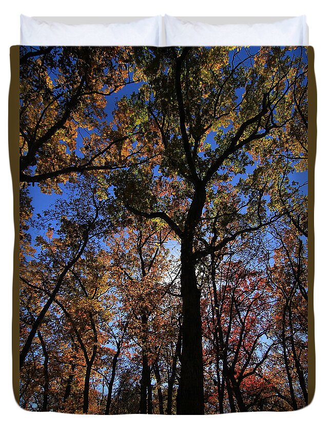 Fall Duvet Cover featuring the photograph Looking Up #7 by Rick Rauzi