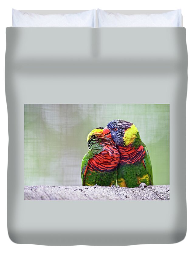 Natural Pattern Duvet Cover featuring the photograph Lorikeets Kissing by Ming Thein / Mingthein.com
