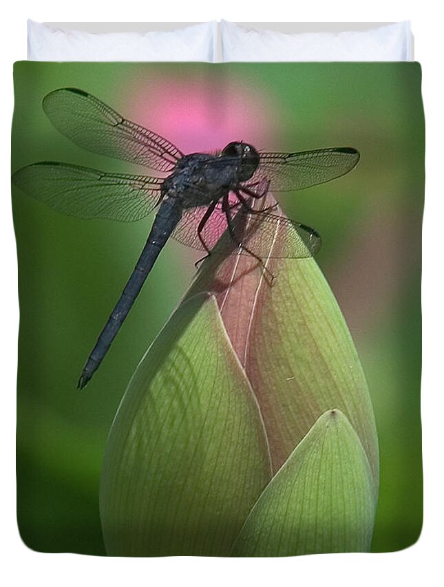 Lotus Duvet Cover featuring the photograph Lotus Bud and Slaty Skimmer Dragonfly DL0006 by Gerry Gantt