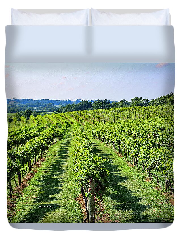 Vineyard Duvet Cover featuring the photograph Lover's Leap Vineyards by Dale R Carlson