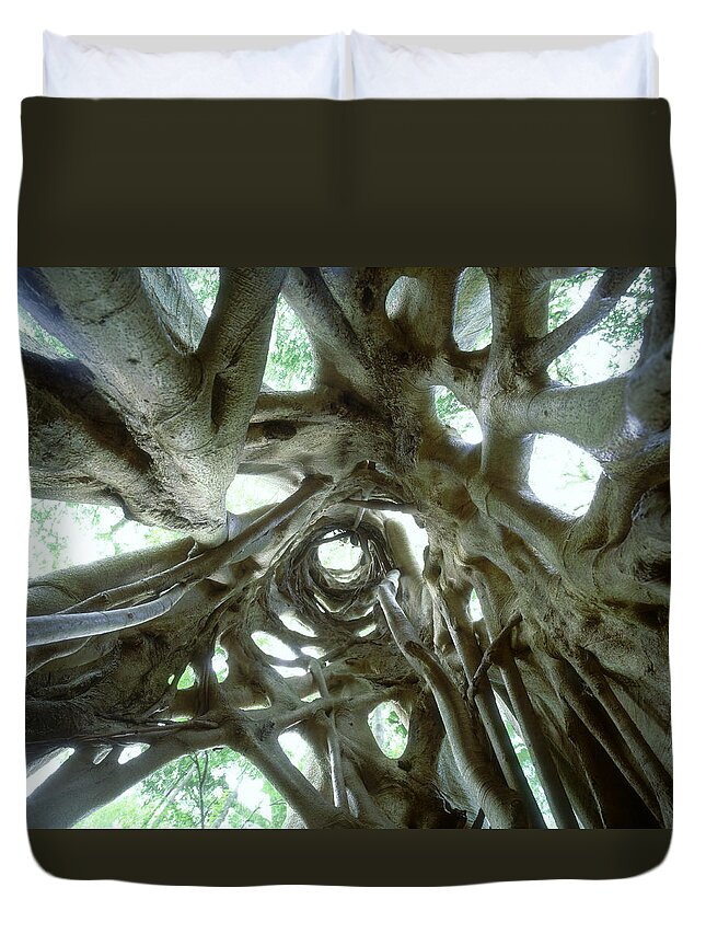 Intertwined Duvet Cover featuring the photograph Low Angle View Of Internal Frame Of by Ted Mead