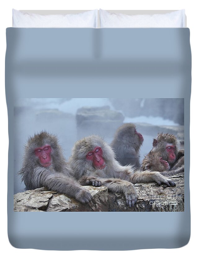 Snow Duvet Cover featuring the photograph Macaques In A Hot Spring At Jigokudani by Masashi Mochida