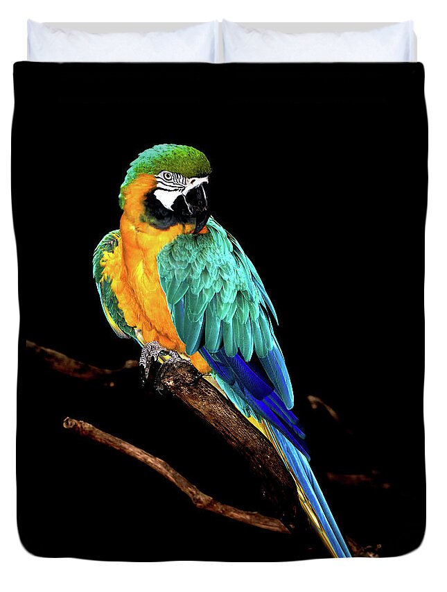 Macaw Duvet Cover featuring the photograph Macaw by David Keith Jr. (all Rights Reserved)