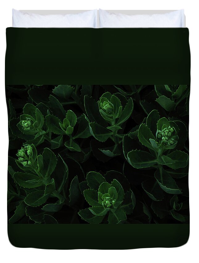 Black Background Duvet Cover featuring the photograph Macro View Of Green Flowers by Michael Duva