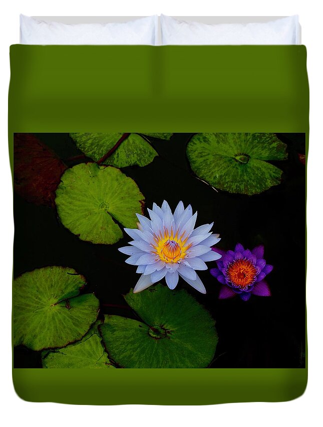 Waterlilies Duvet Cover featuring the photograph Magic In A Pond by Alida M Haslett