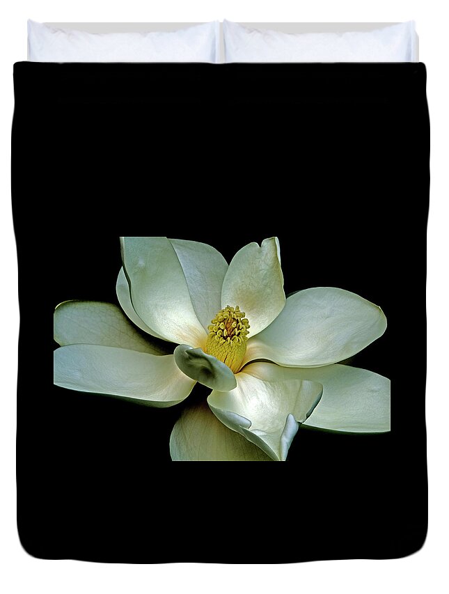 Magnolia Duvet Cover featuring the photograph Magnolia 2006 01 by Jim Dollar