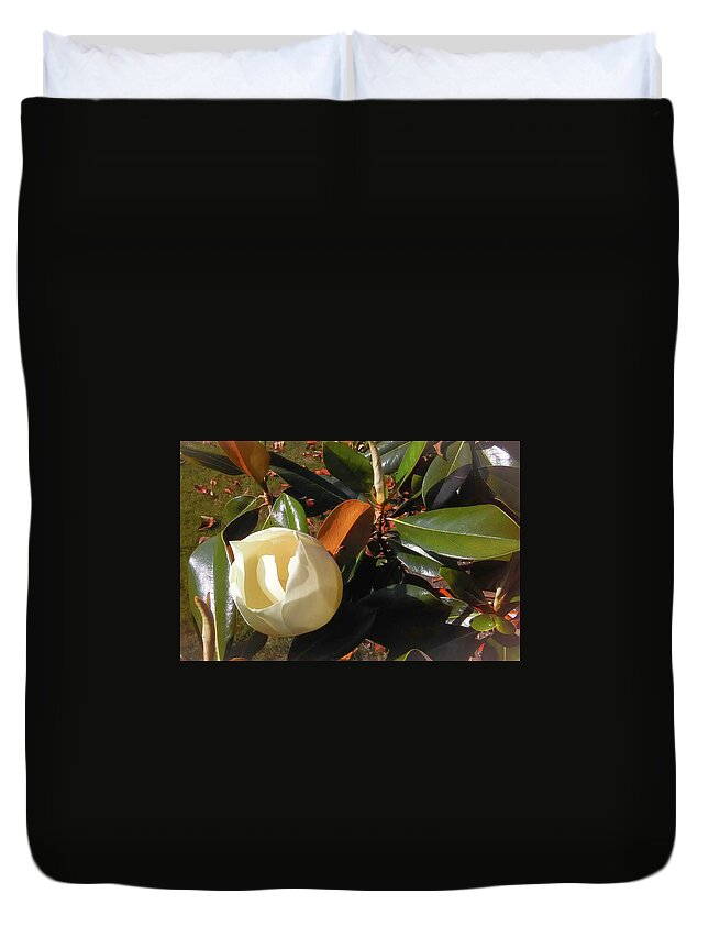 Flower Duvet Cover featuring the photograph Magnolia Begining by C Winslow Shafer