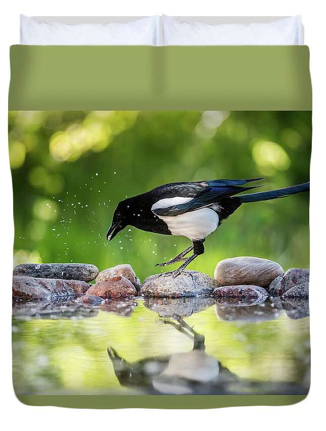 Magpie's Tail Duvet Cover featuring the photograph Magpie in profile jumping on the rocks at the pond by Torbjorn Swenelius