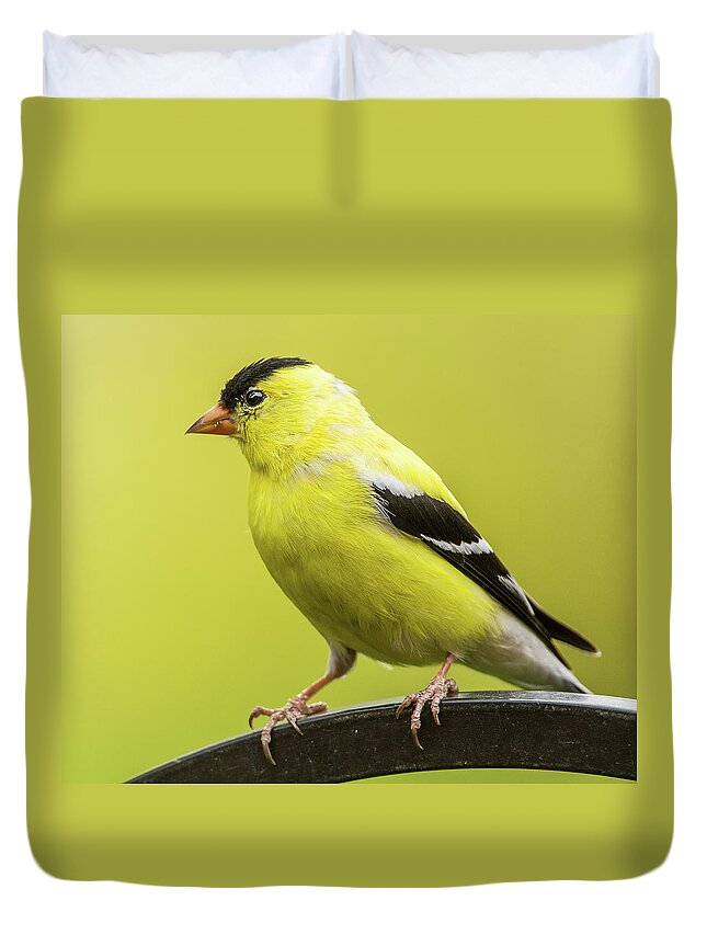 Bethesda Duvet Cover featuring the photograph Male Goldfinch by Edward H. Pien