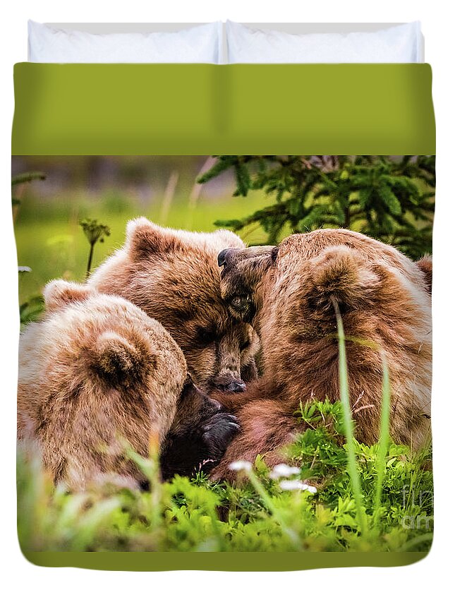 Cub Duvet Cover featuring the photograph Mama bear nursing her two cubs, Lake Clark National Park, Alaska by Lyl Dil Creations