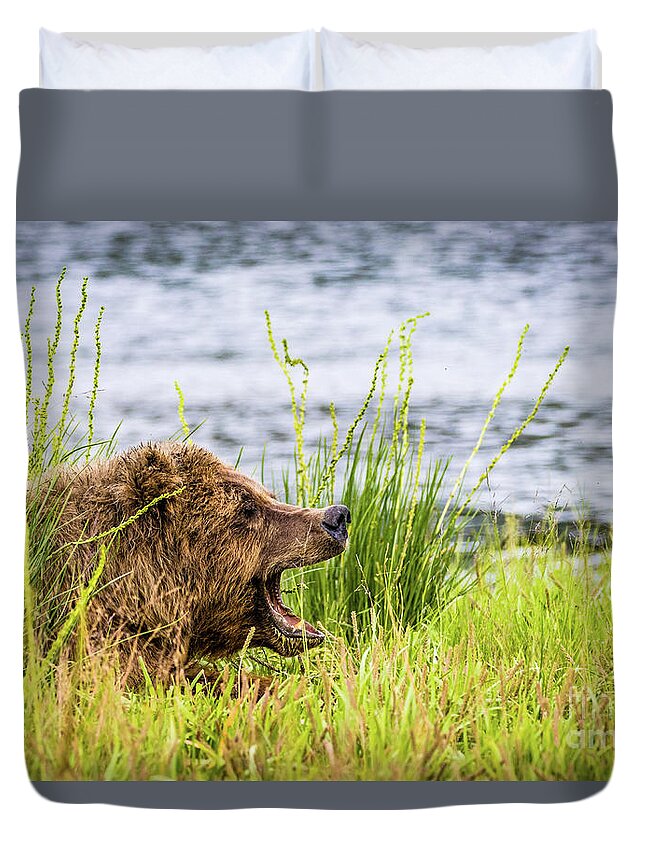 Bear Duvet Cover featuring the photograph Mama bear screaming at her cubs by Lyl Dil Creations