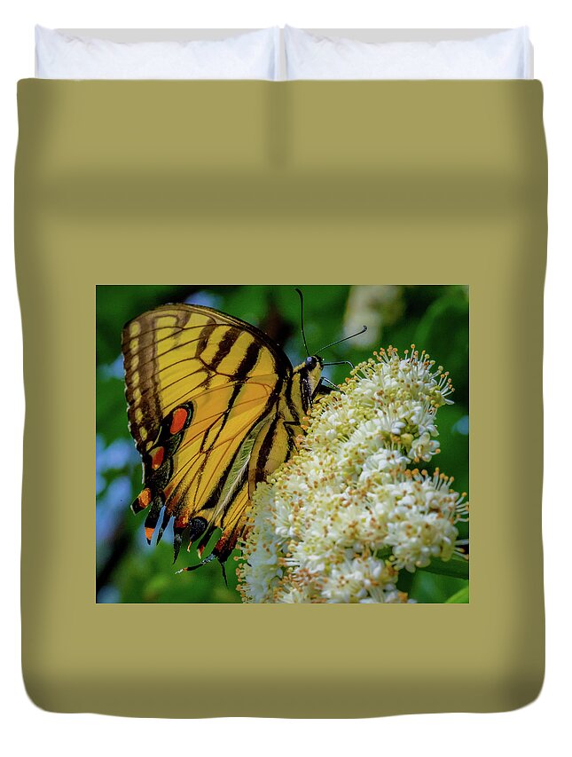 Butterfly Duvet Cover featuring the photograph Manassas Butterfly by Lora J Wilson