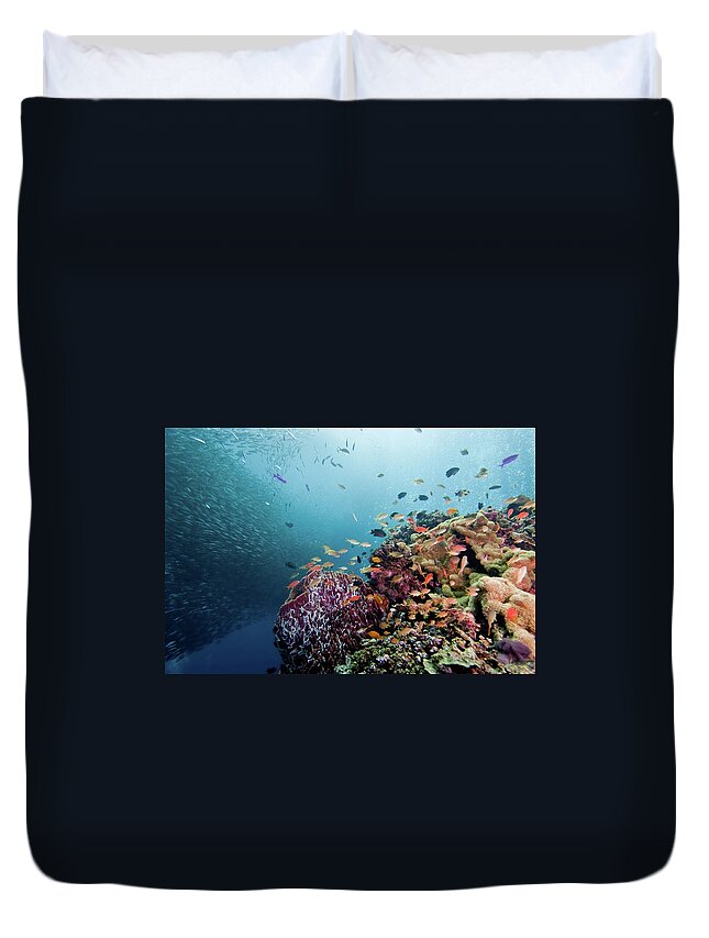 Underwater Duvet Cover featuring the photograph Many Coloful Fishes And So Many Sardine by Shin Okamoto