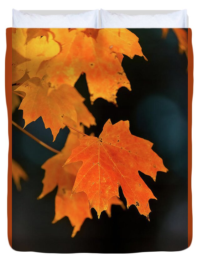 Cayce Duvet Cover featuring the photograph Maple-1 by Charles Hite