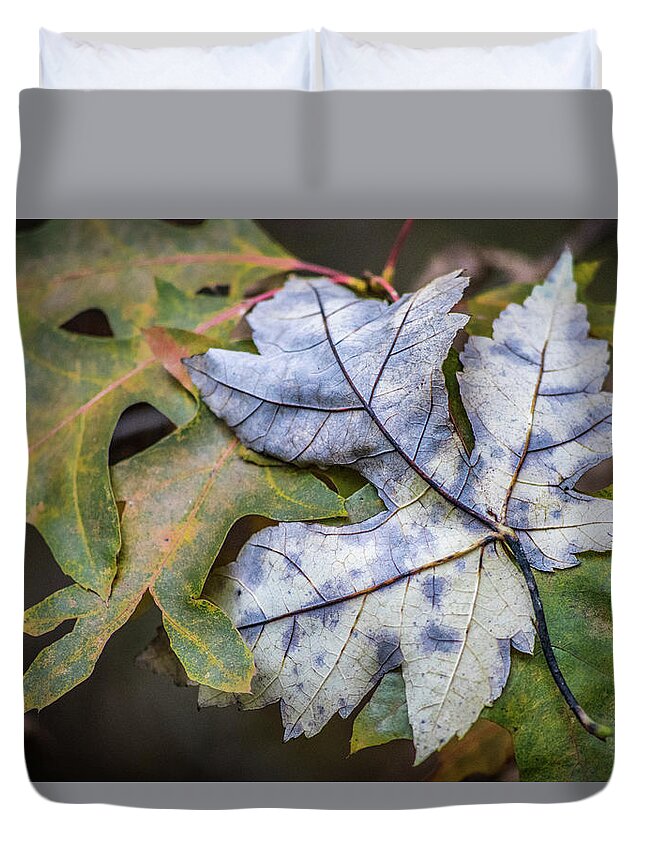 Archbold Duvet Cover featuring the photograph Maple And Oak by Michael Arend