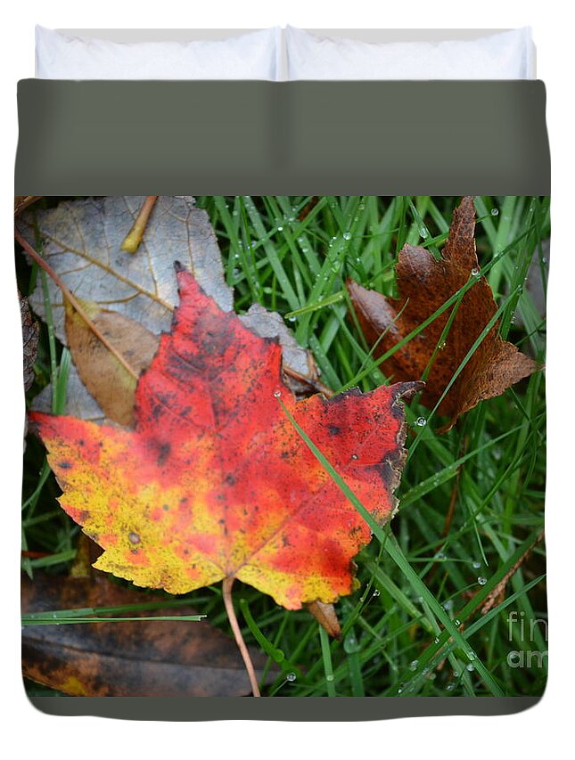 Autumn Duvet Cover featuring the photograph Maple by Dani McEvoy