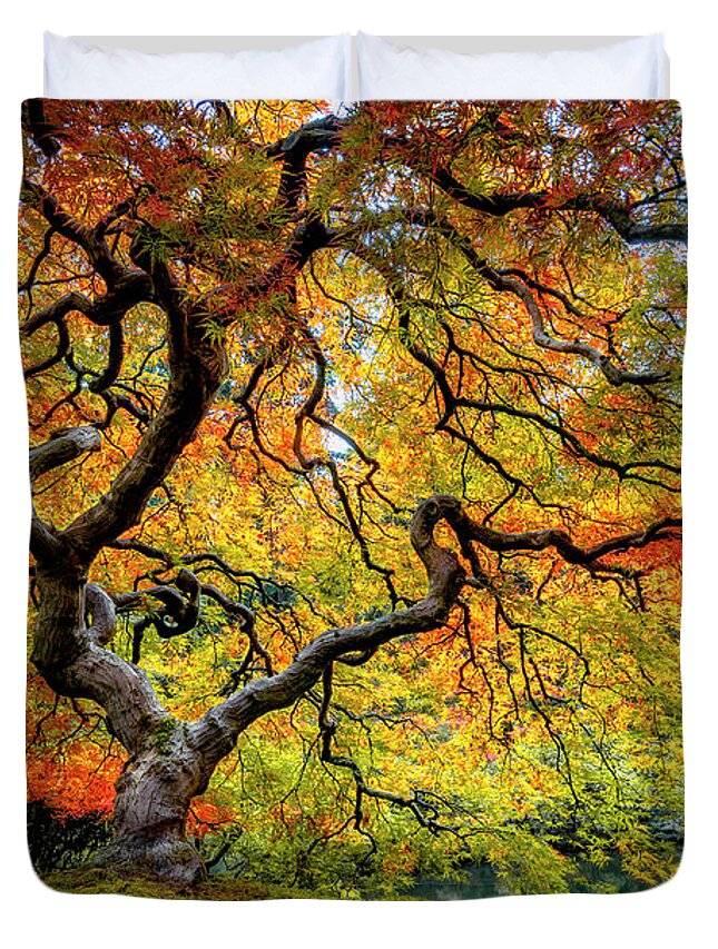 Maple Duvet Cover featuring the photograph Maple Fall Color in Oregon by Michael Ash