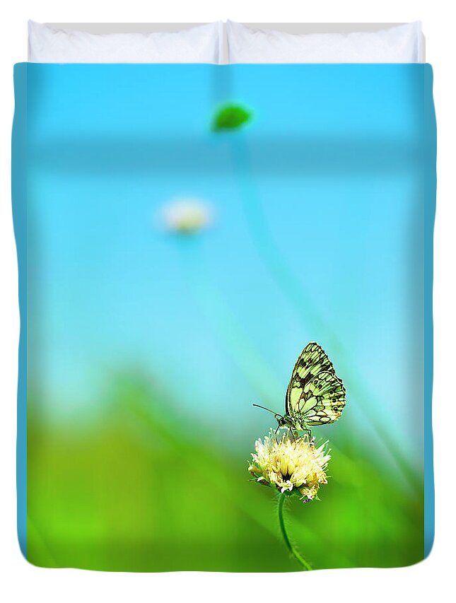 Insect Duvet Cover featuring the photograph Marbled White Butterfly Pollinating by Pawel.gaul